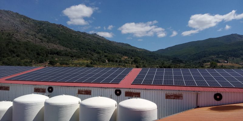 fotovoltaica Actualidad