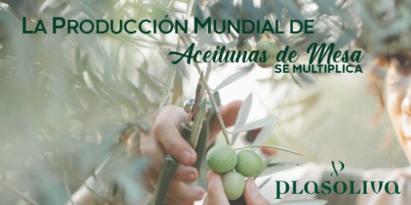PRODUCCION MUNDIAL 1 800x400 1 Actualidad