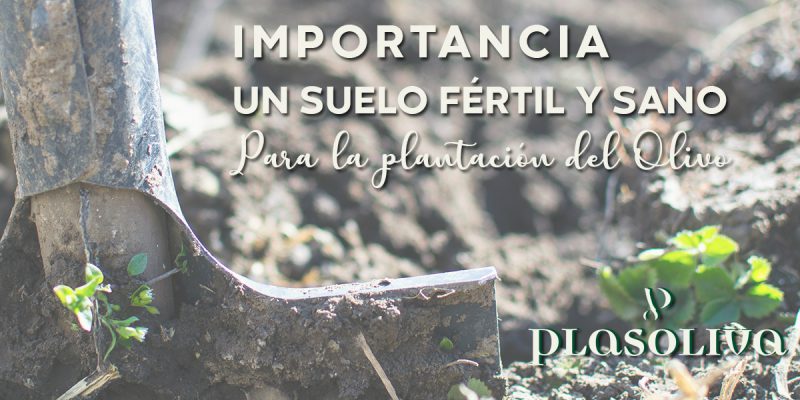 SUELO FERTIL 800x400 1 Actualidad
