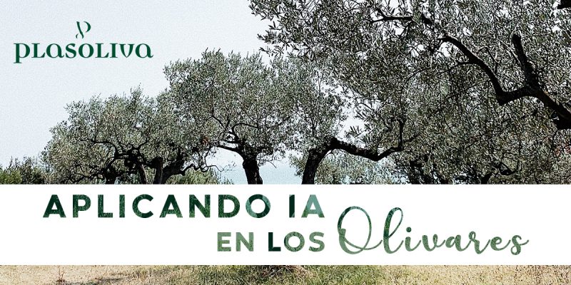 IA OLIVARES 800x400 1 Actualidad