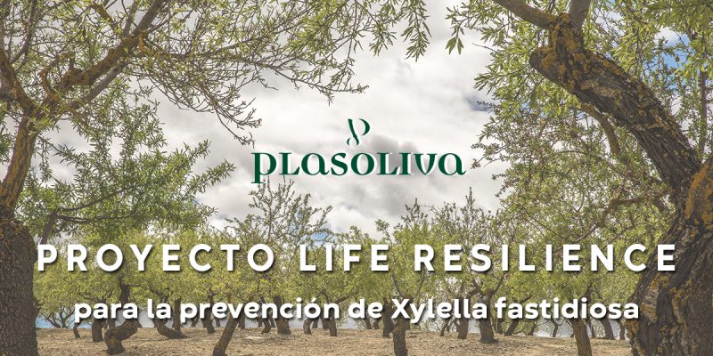 LIFE RESILIENCE 800x400 1 Actualidad
