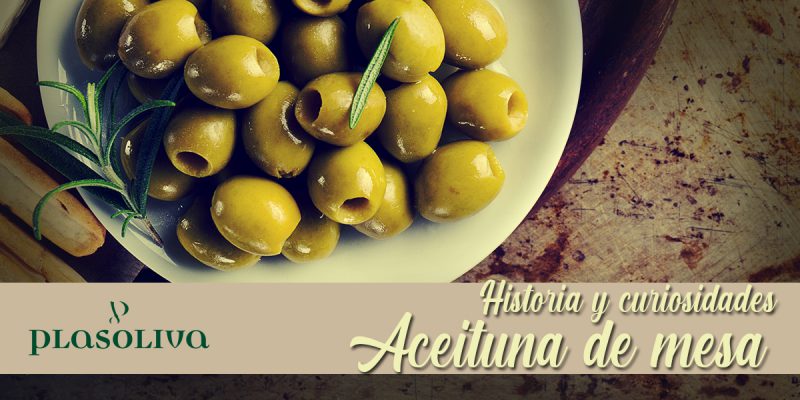 curiosidades de la aceituna 800x400 1 Actualidad