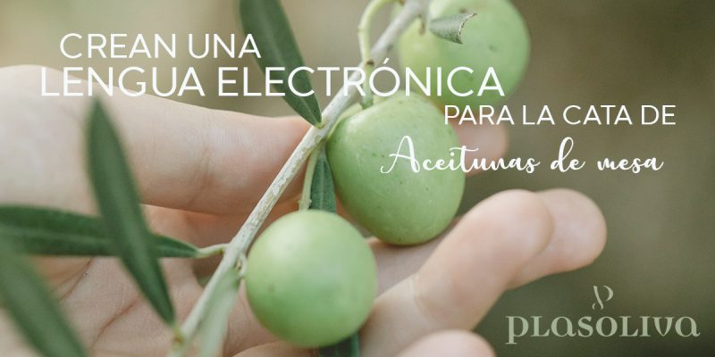 lengua electronica 800x400 1 Actualidad