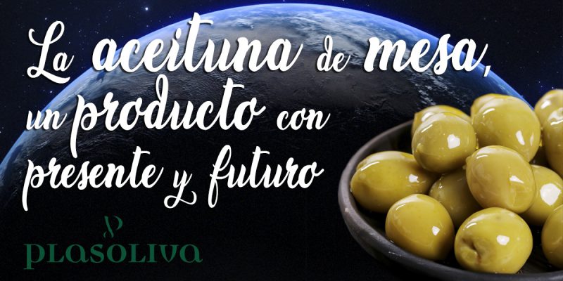 plasoliva aceituna mesa futuro 800x400 1 Actualidad