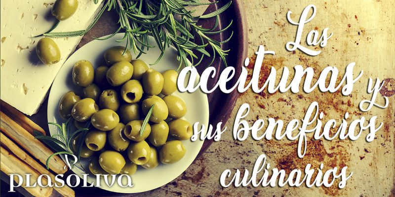 plasoliva propiedades aceitunas 800x400 1 Actualidad