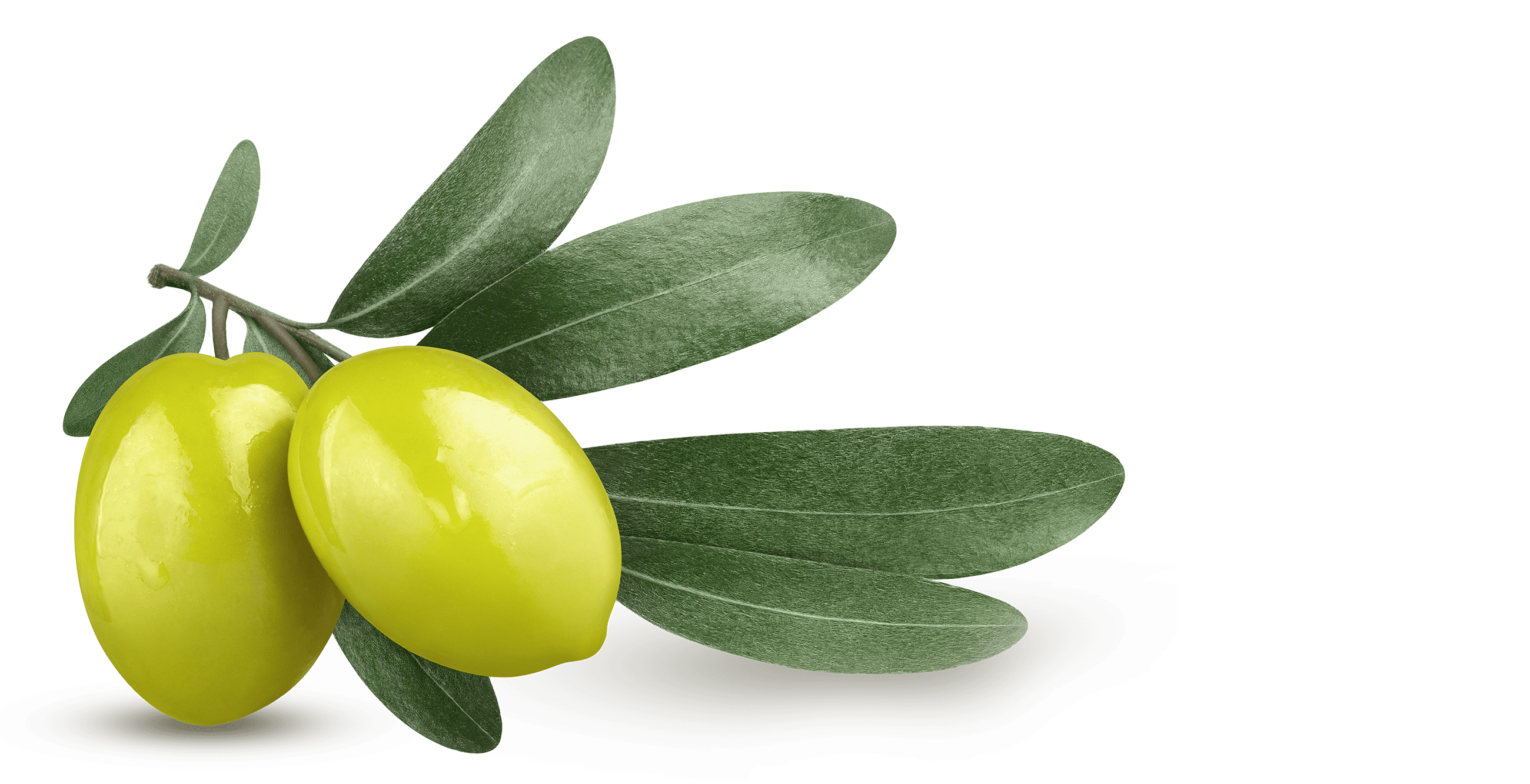 aceituna cacereña natural verde eco