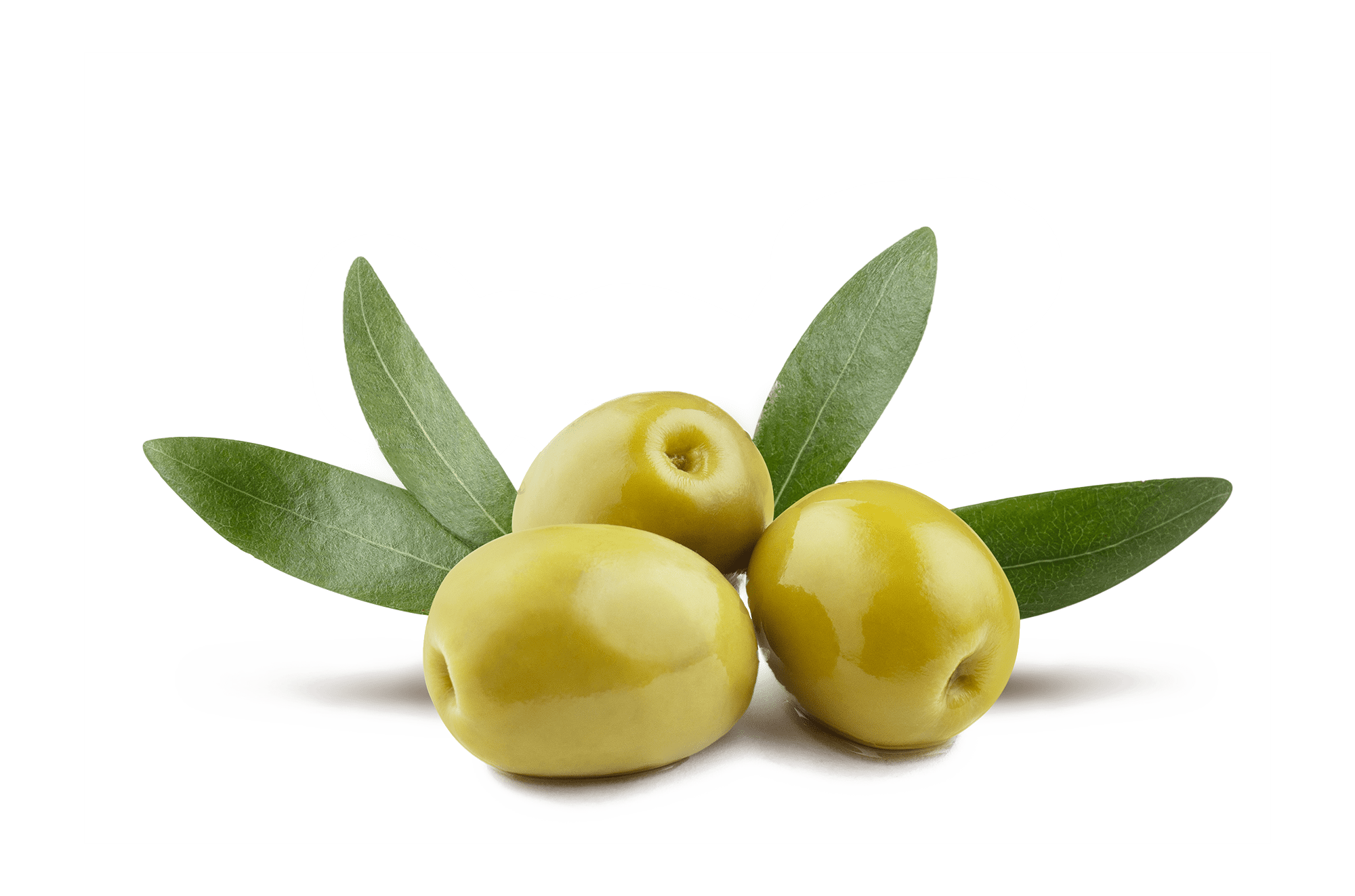 manzanilla cacerena verde 1 Variedades